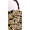 Fleurs de Chanvre Kompolti inférieur à 0,2% de THC \ 5% de CBD